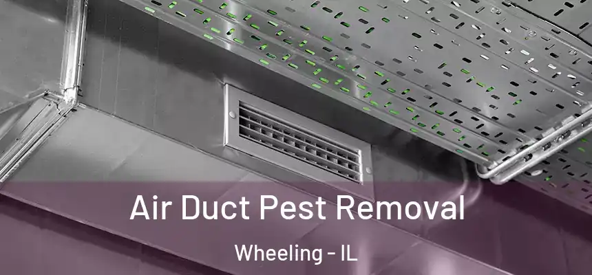  Air Duct Pest Removal Wheeling - IL