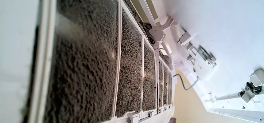 Preventive Air Duct Bacteria Removal in Wheeling