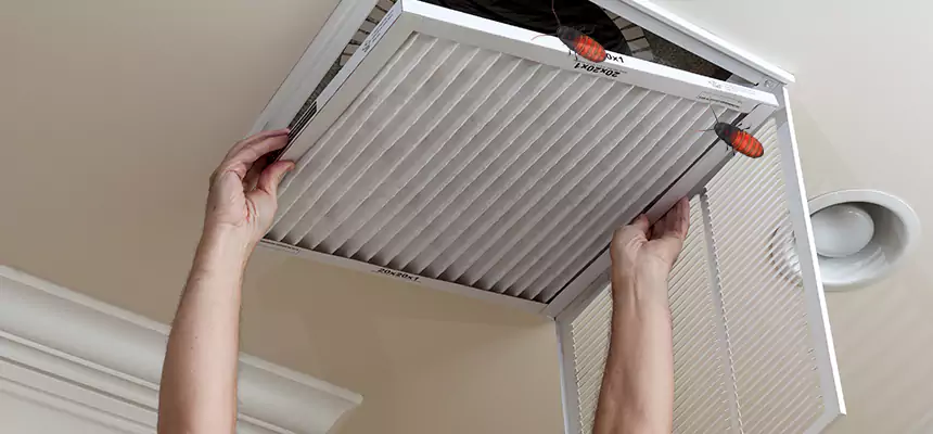 Preventive Cockroach-Proofing for Ducts in Wheeling