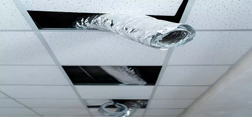 Our Air Duct Pet Hair Removal Services in Wheeling, IL