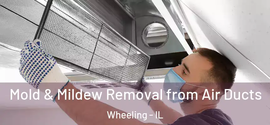  Mold & Mildew Removal from Air Ducts Wheeling - IL