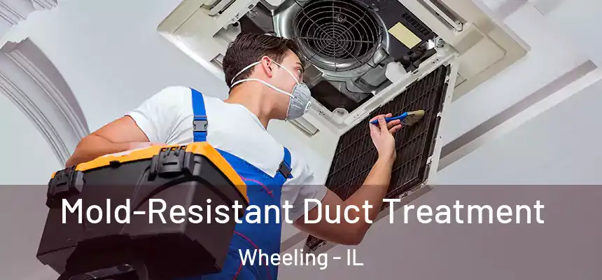  Mold-Resistant Duct Treatment Wheeling - IL