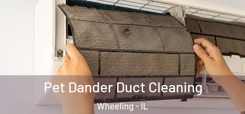  Pet Dander Duct Cleaning Wheeling - IL