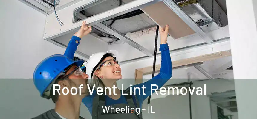  Roof Vent Lint Removal Wheeling - IL