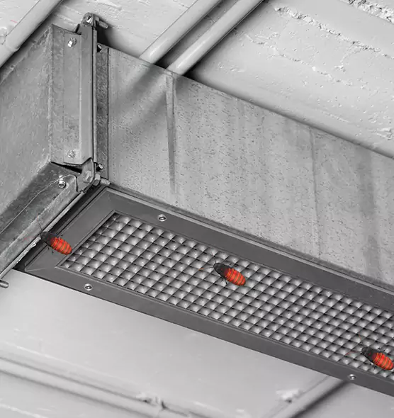 Affordable Insect Removal from Air Ducts in Wheeling, IL