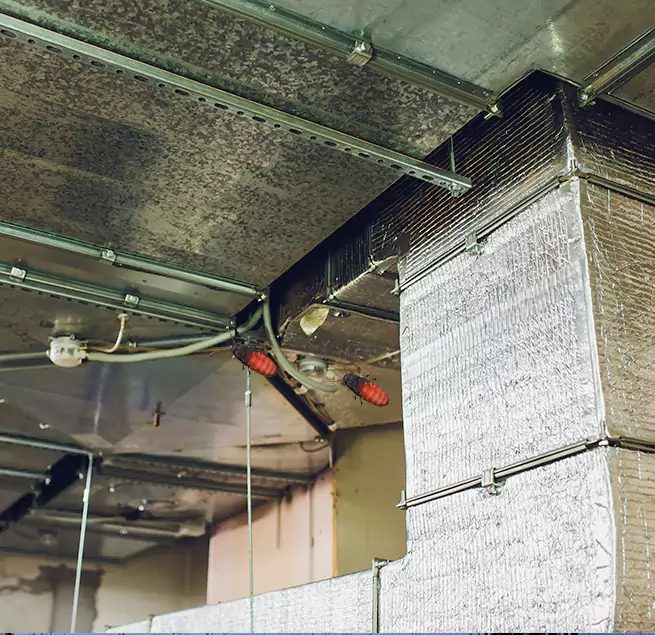 Why Homeowners & Businesses Trust Us in Wheeling, IL?