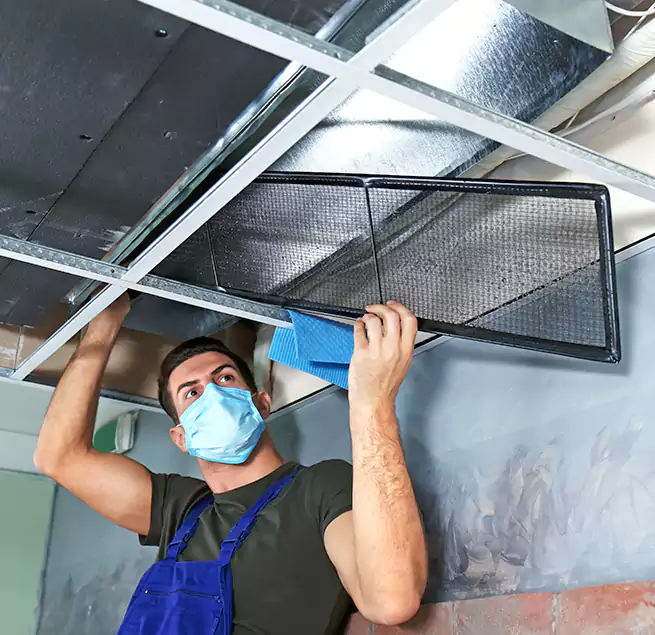 Why Homeowners Businesses Trust Us in Wheeling, IL