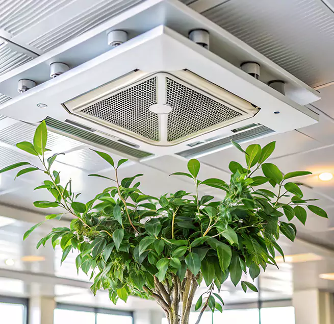 Why Homeowners & Businesses Trust Us in Wheeling, IL